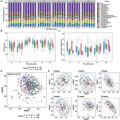 Effect of the consumption of brazzein and monellin, two recombinant sweet-tasting proteins, on rat gut microbiota